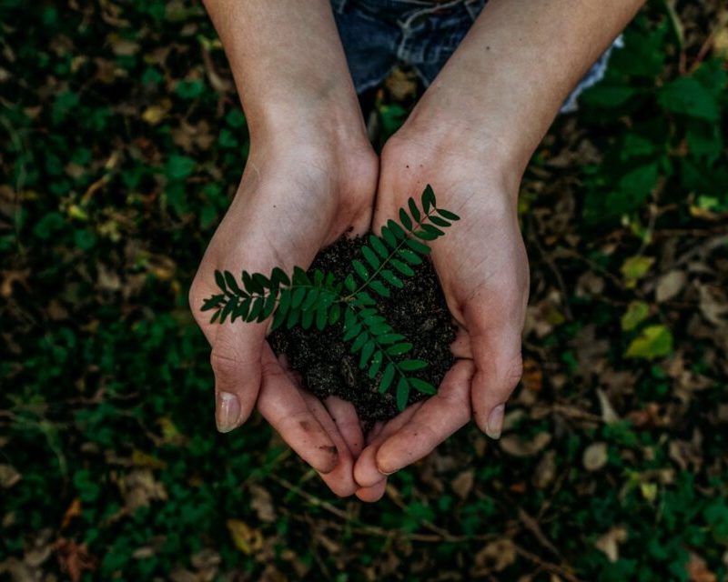 earth day